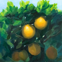 Citrus Study 2