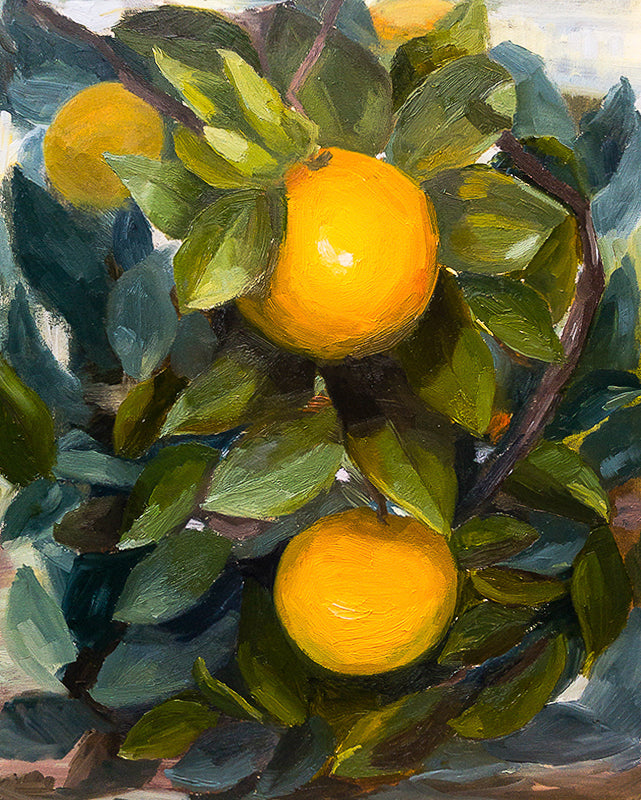 Citrus Study